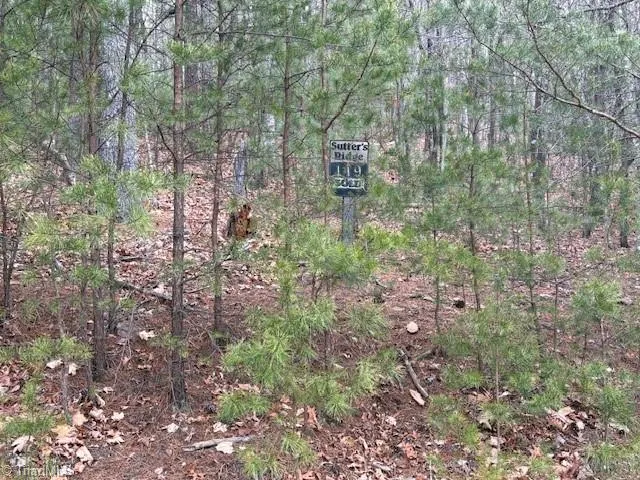 TBD Sutters Ridge Road McGrady, NC 28649