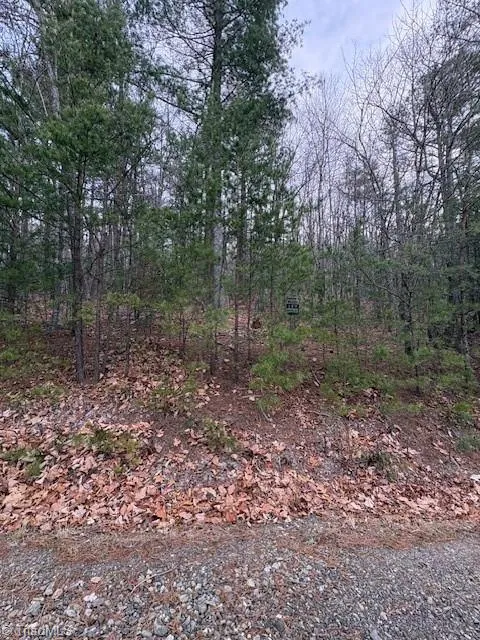 TBD Sutters Ridge Road McGrady, NC 28649