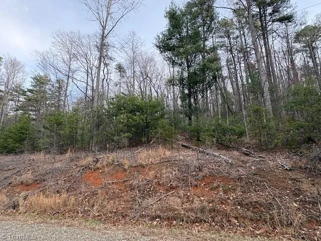TBD Sutters Ridge Road McGrady, NC 28649