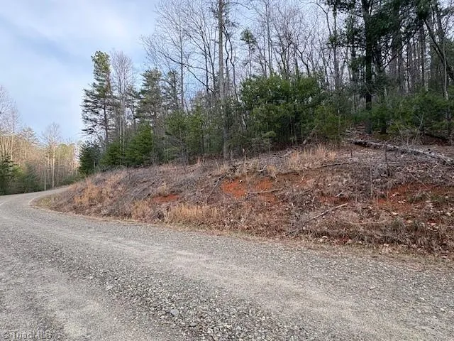 TBD Sutters Ridge Road McGrady, NC 28649