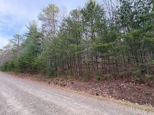 TBD Sutters Ridge Road McGrady, NC 28649