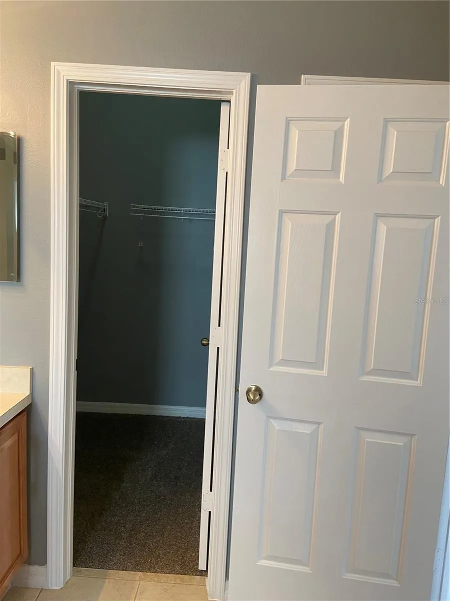 27546 PLEASURE RIDE LOOP Wesley Chapel, FL 33544