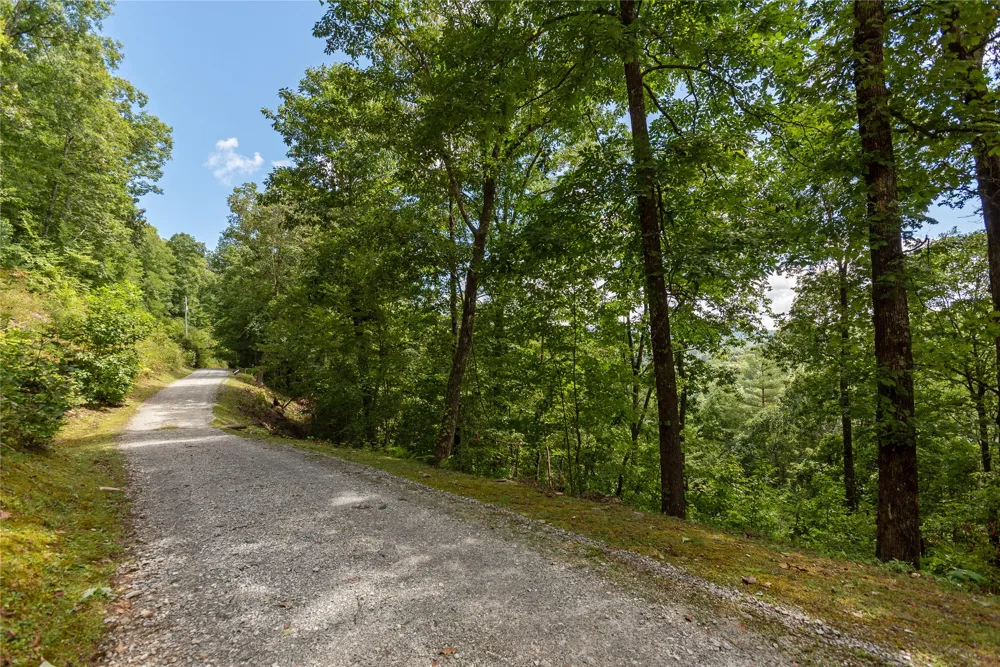 Lot 33 Wild Blackberry Ridge Cullowhee, NC 28723