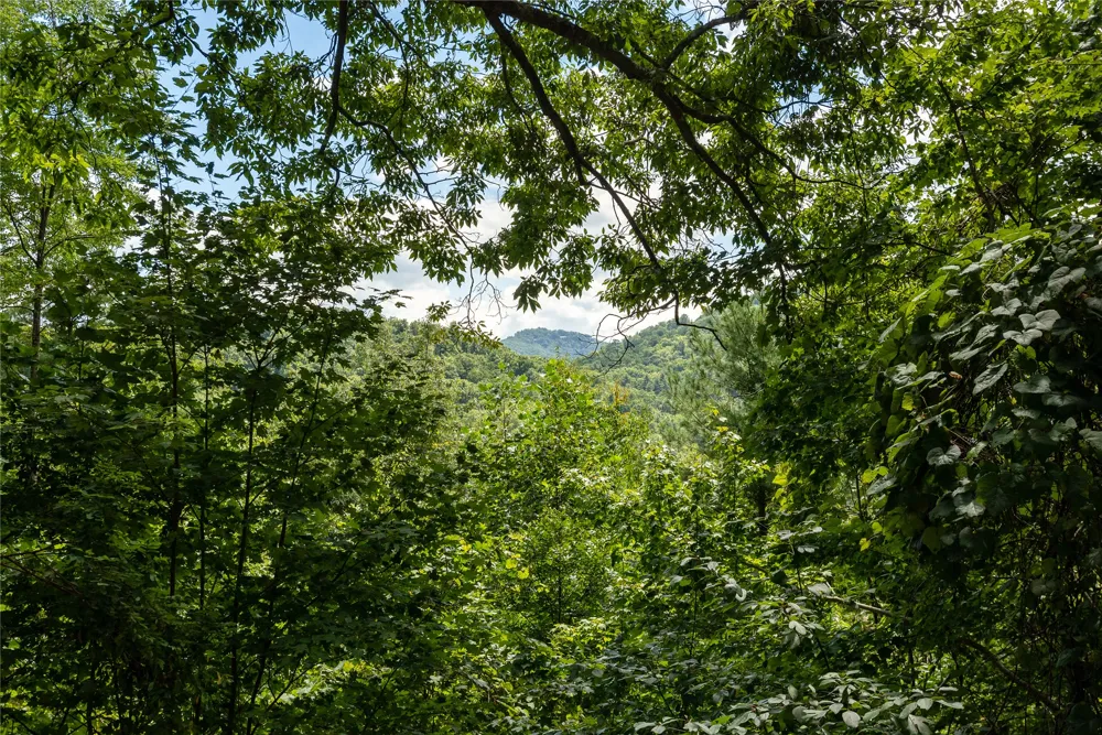 Lot 33 Wild Blackberry Ridge Cullowhee, NC 28723