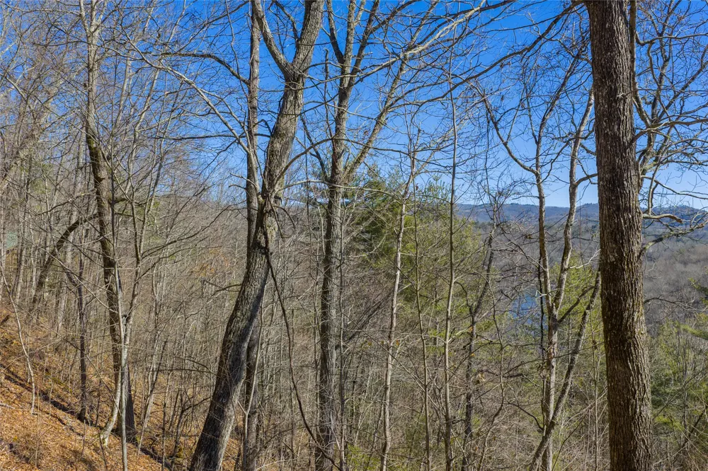 Lot 33 Wild Blackberry Ridge Cullowhee, NC 28723