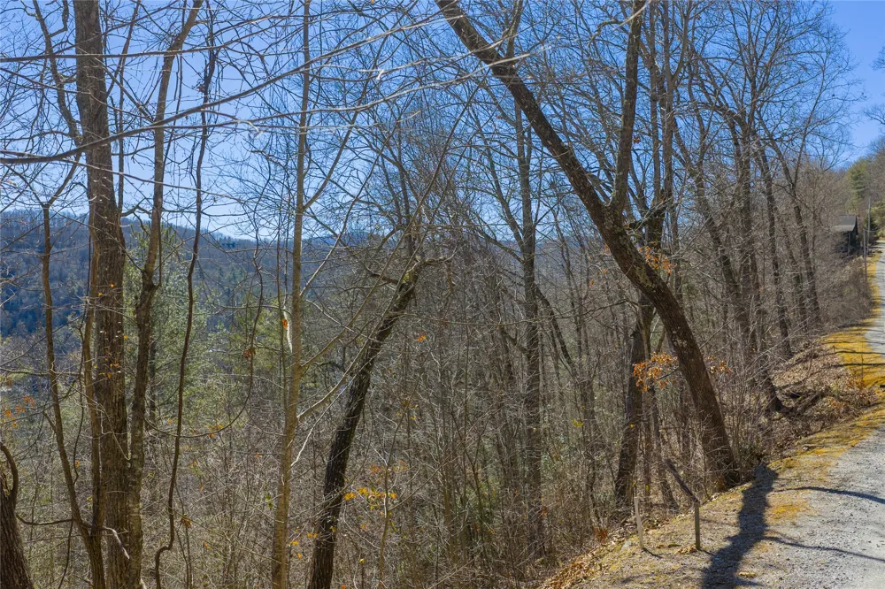 Lot 33 Wild Blackberry Ridge Cullowhee, NC 28723