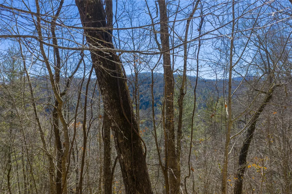 Lot 33 Wild Blackberry Ridge Cullowhee, NC 28723