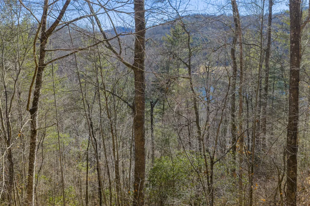 Lot 33 Wild Blackberry Ridge Cullowhee, NC 28723