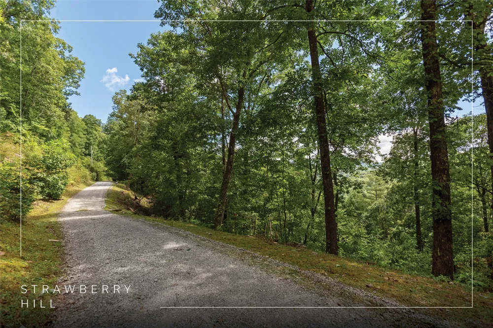 Lot 33 Wild Blackberry Ridge Cullowhee, NC 28723