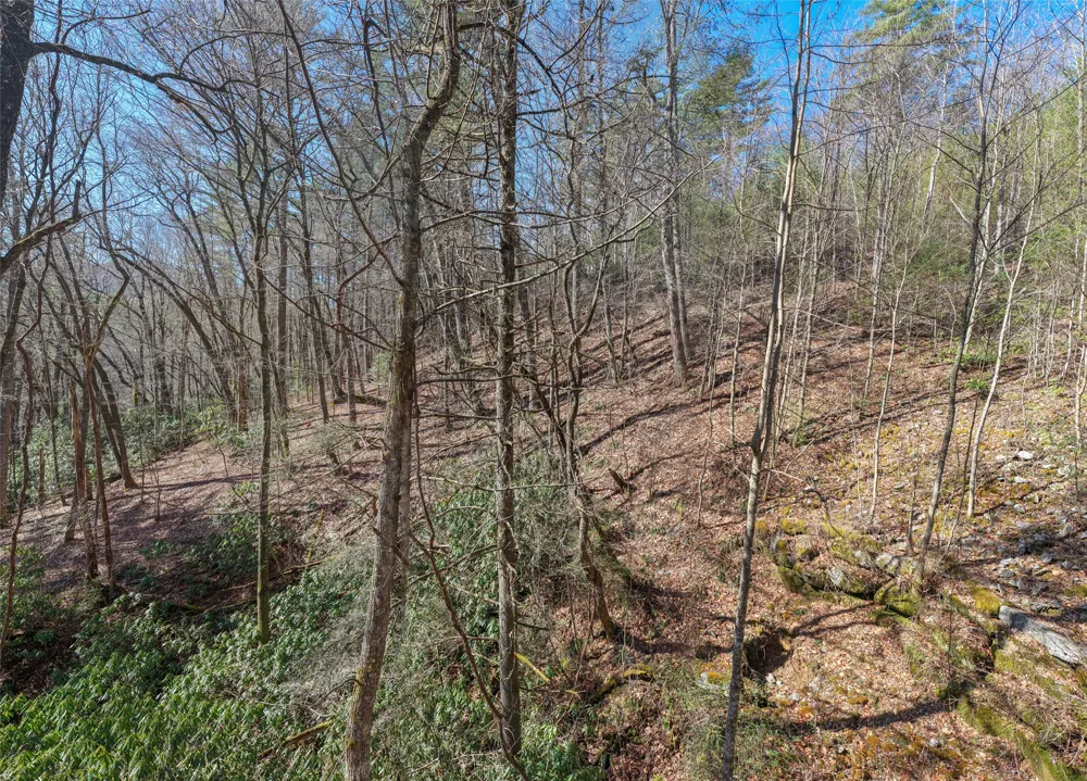 lot 27 Heritage Drive Sapphire, NC 28774