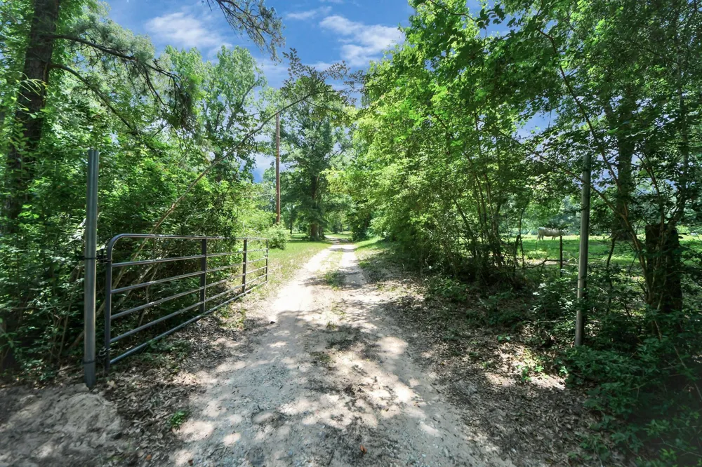 197 County Road 348 Cleveland, TX 77327