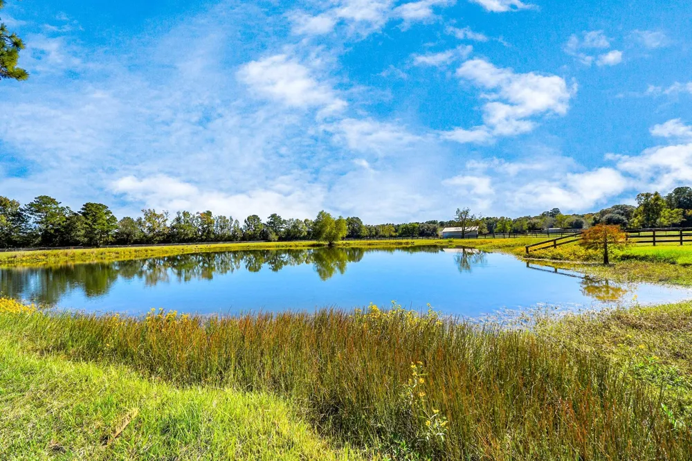 16076 Highway 105 Cleveland, TX 77327