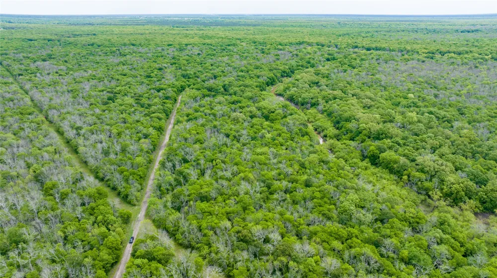 CR 4630 Annona, TX 75550
