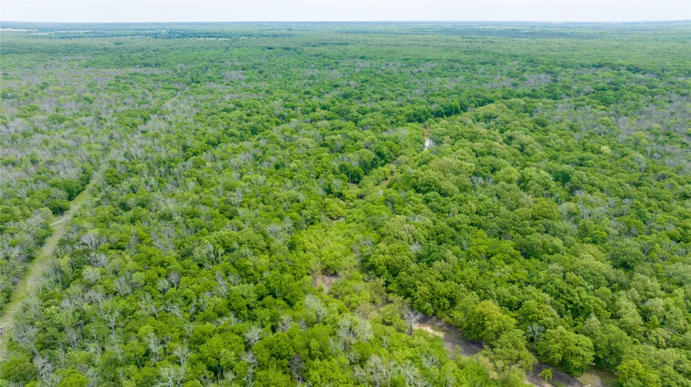 CR 4630 Annona, TX 75550