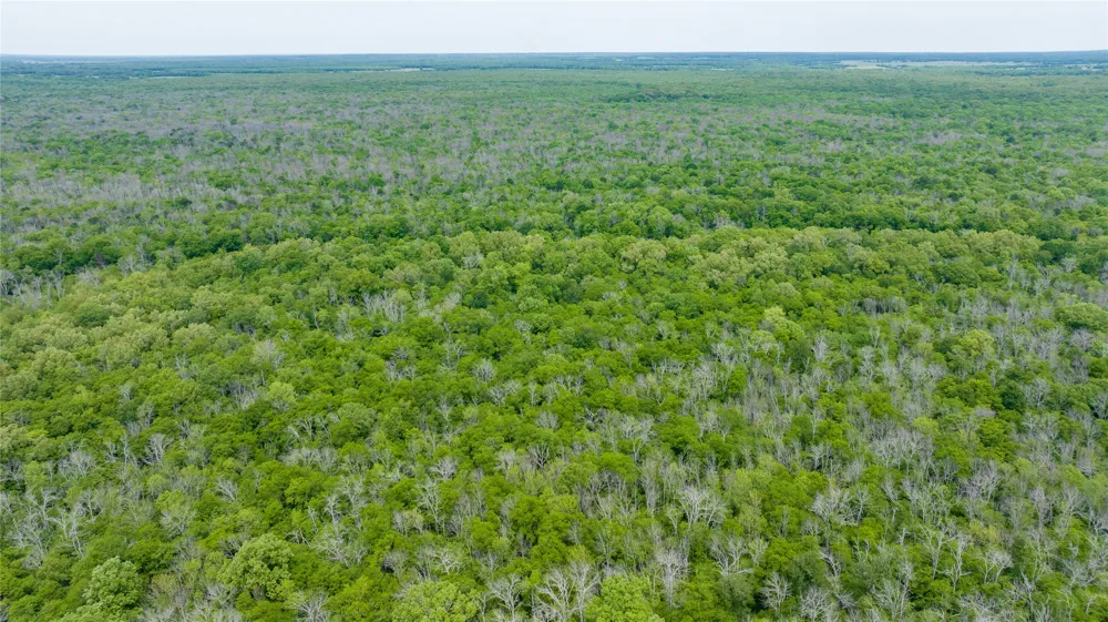 CR 4630 Annona, TX 75550
