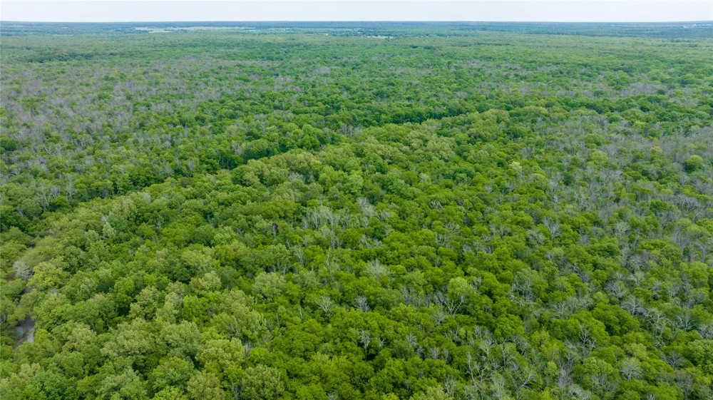 CR 4630 Annona, TX 75550