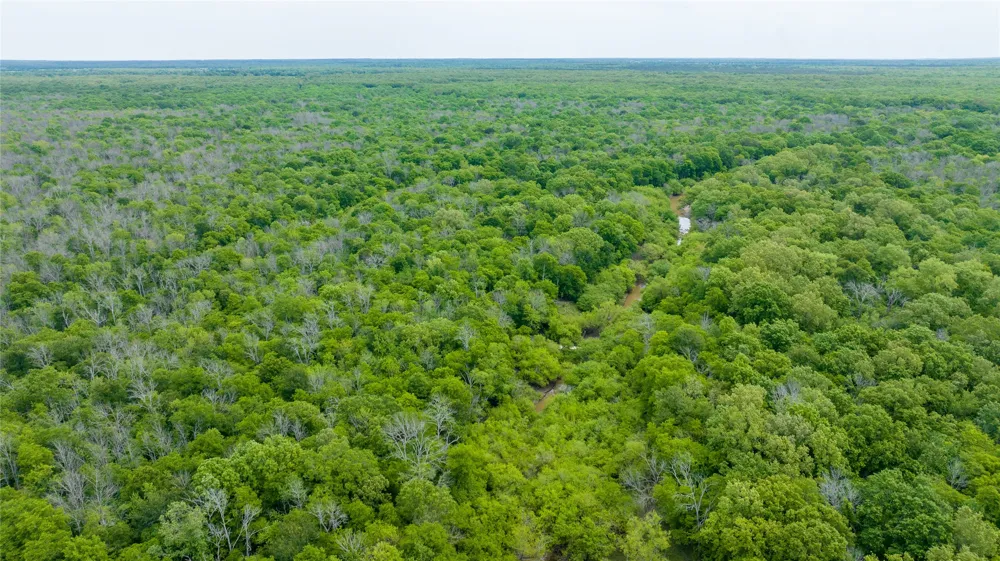CR 4630 Annona, TX 75550