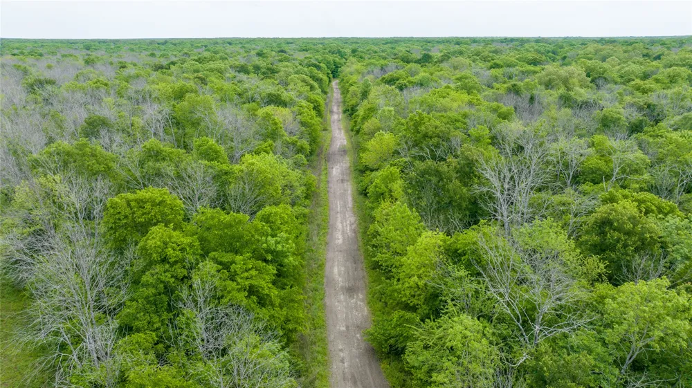CR 4630 Annona, TX 75550
