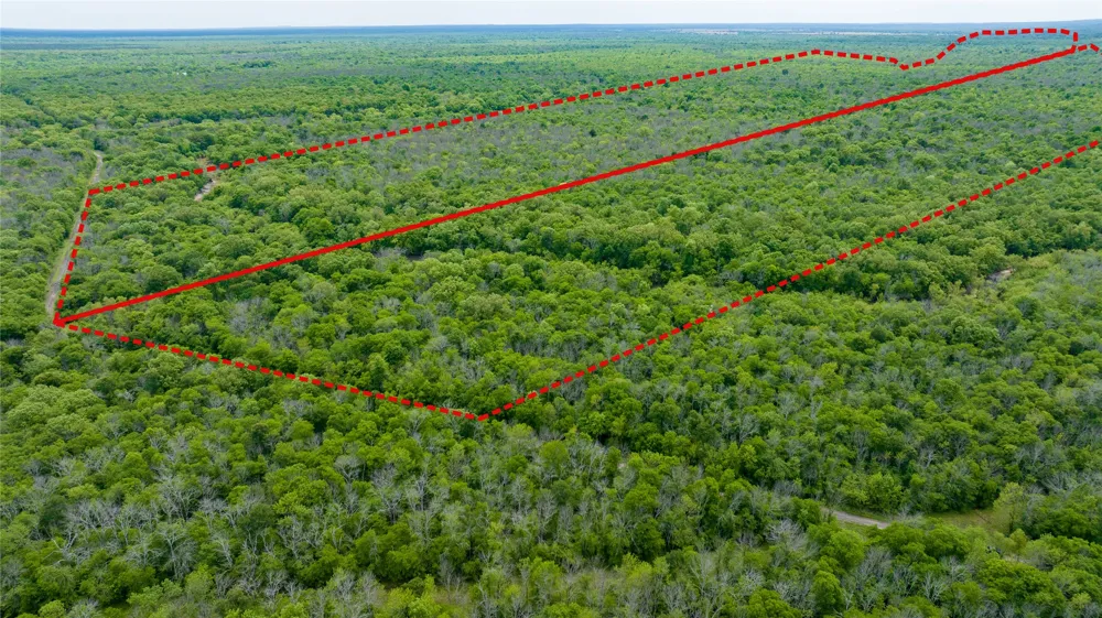 CR 4630 Annona, TX 75550