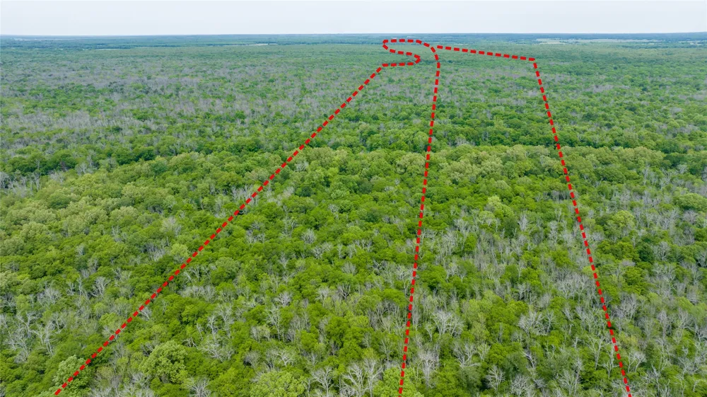 CR 4630 Annona, TX 75550