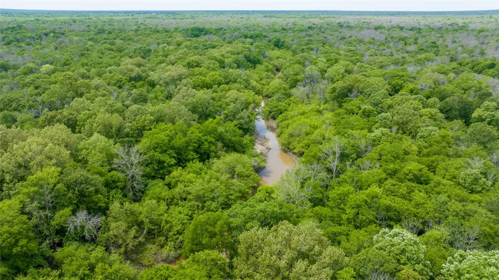 CR 4630 Annona, TX 75550