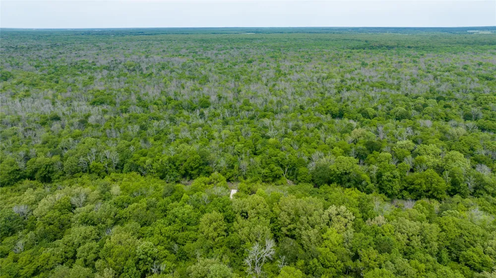 CR 4630 Annona, TX 75550
