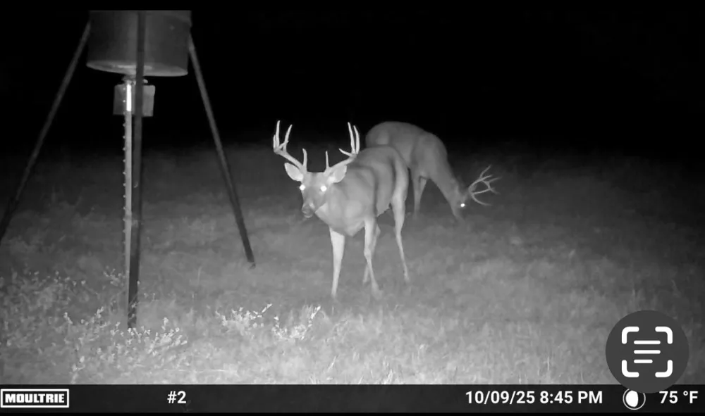 Fm 2909 Canton, TX 75103