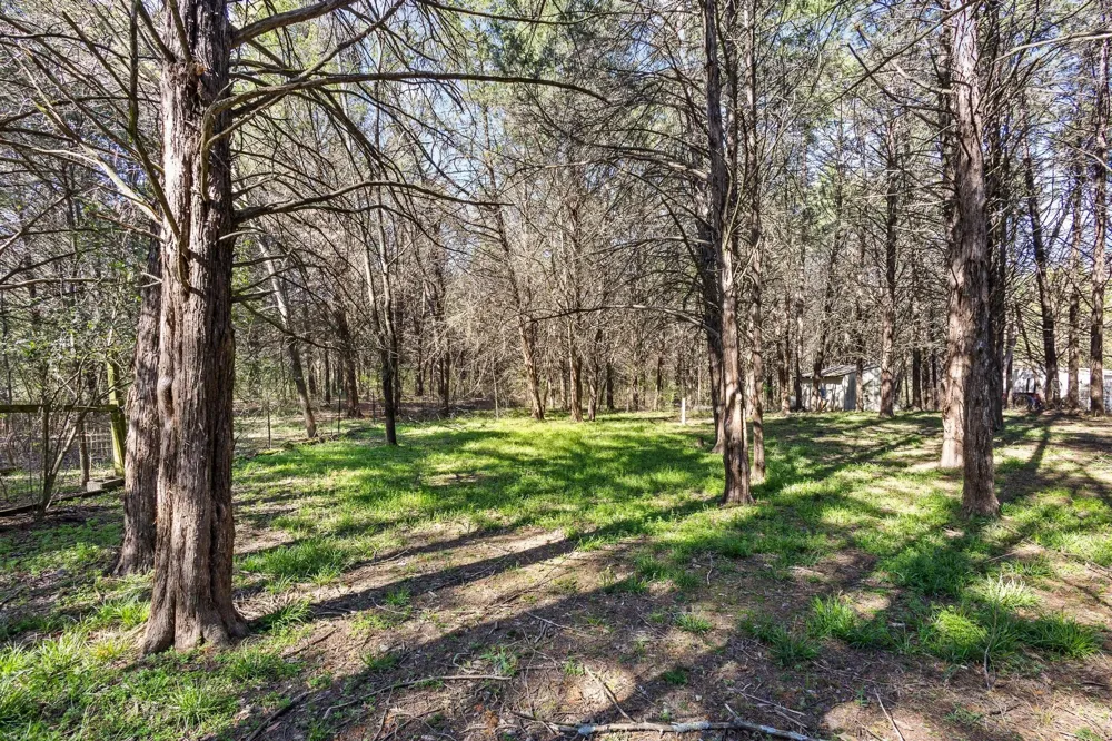 528 County Road 1120 Ravenna, TX 75476