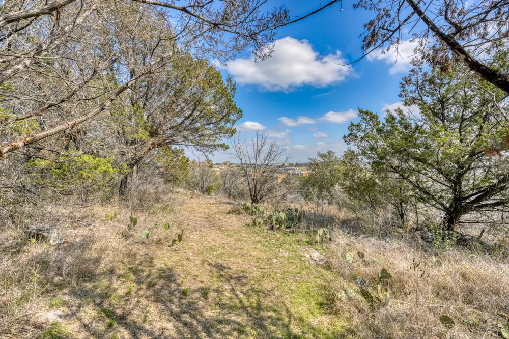 103 Palmie Lane Marble Falls, TX 78654