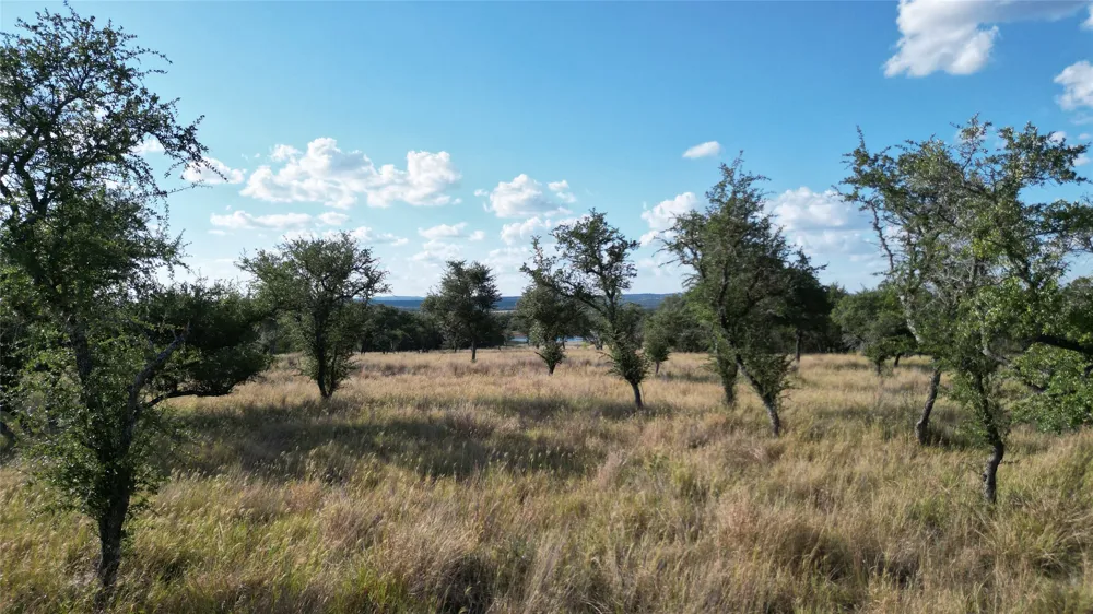 7819 Ranch to Market Road 2766 Ranch Johnson City, TX 78636