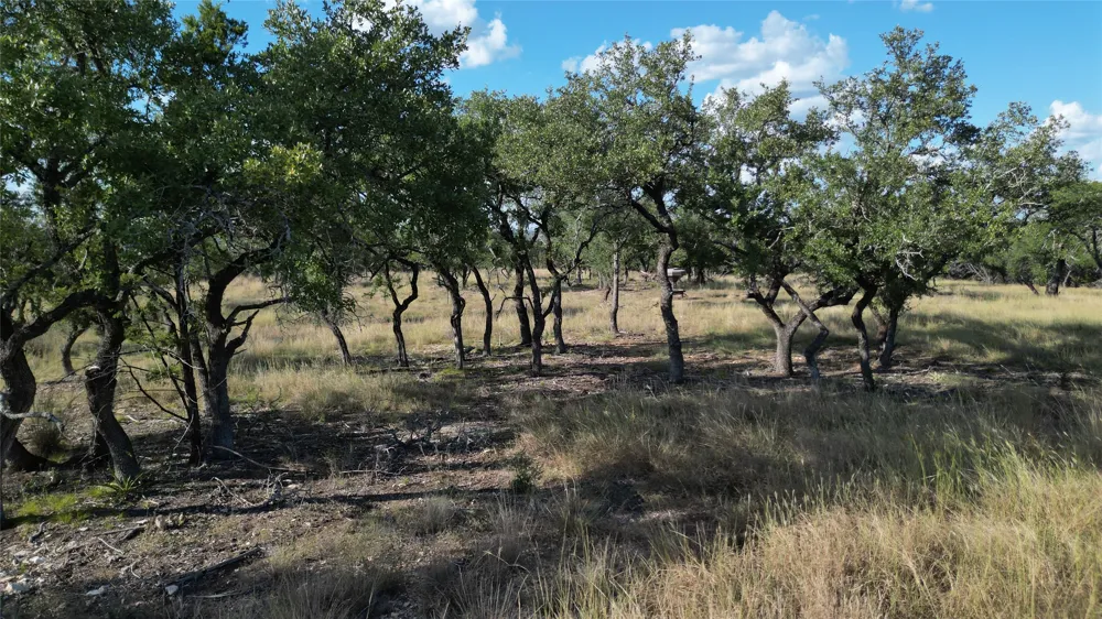 7819 Ranch to Market Road 2766 Ranch Johnson City, TX 78636