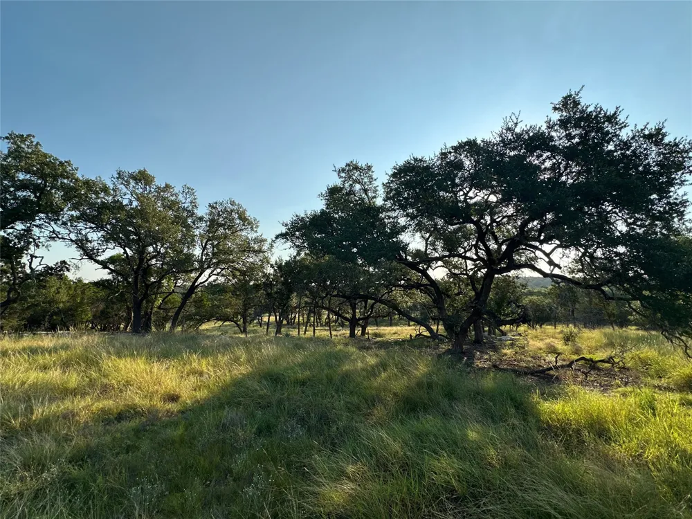 7819 Ranch to Market Road 2766 Ranch Johnson City, TX 78636