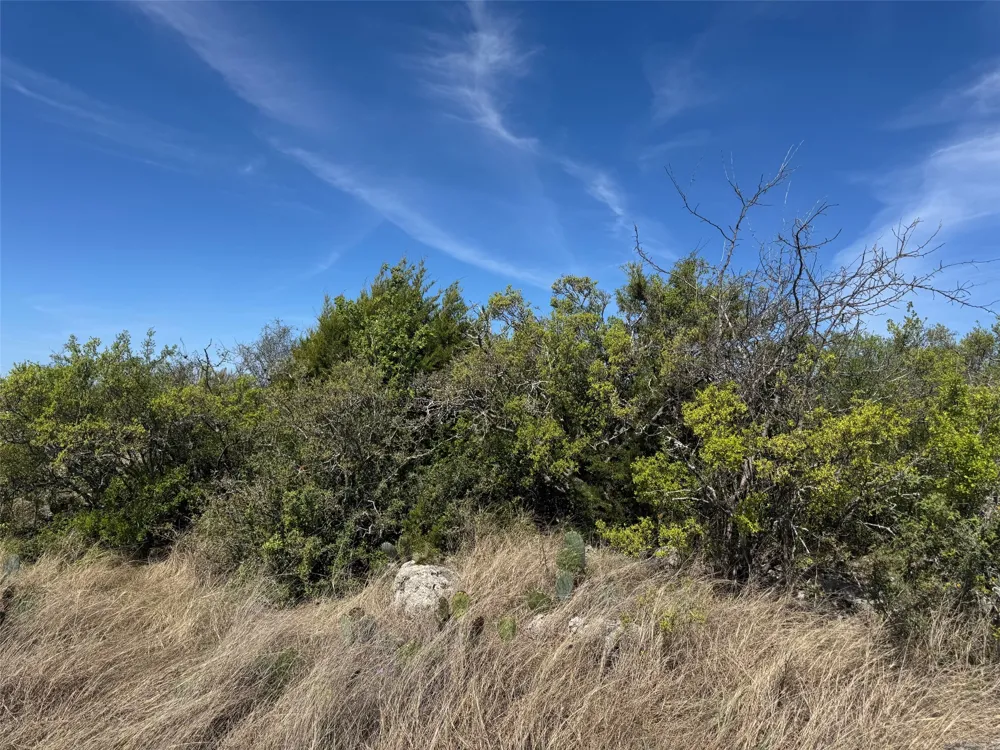 158 Sierra Drive Bertram, TX 78605