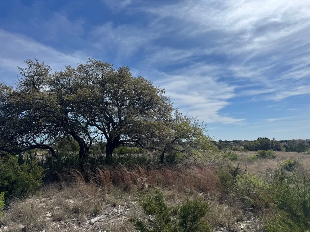 158 Sierra Drive Bertram, TX 78605