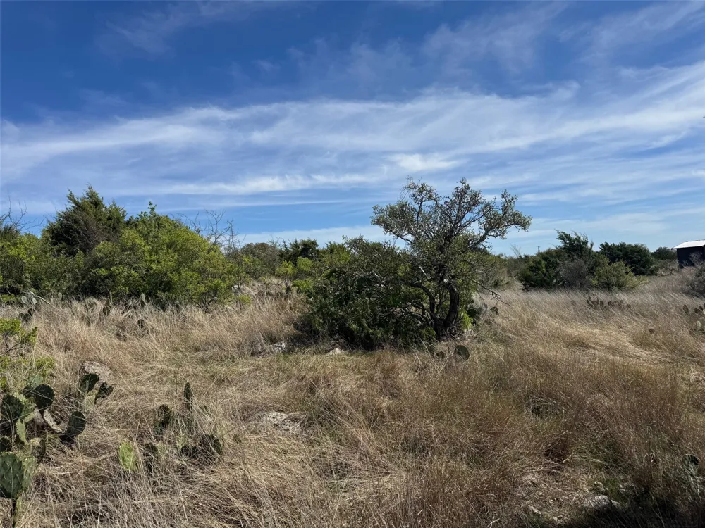 158 Sierra Drive Bertram, TX 78605