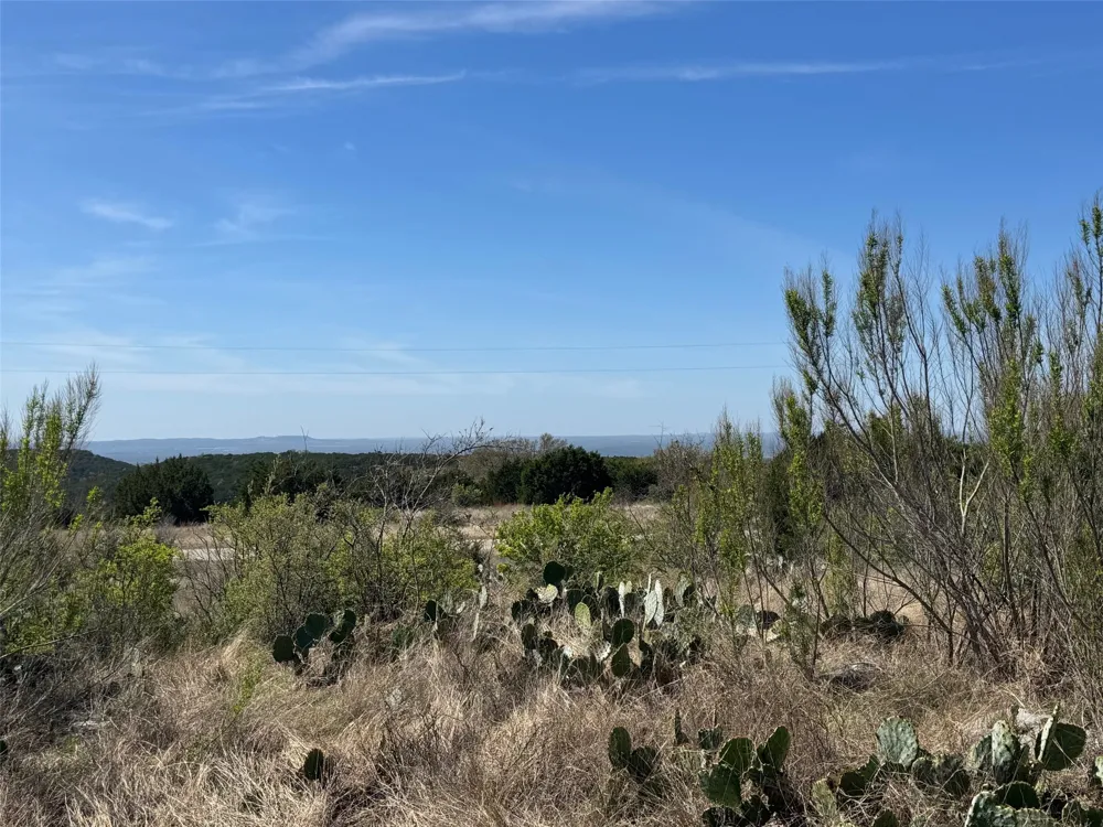 158 Sierra Drive Bertram, TX 78605
