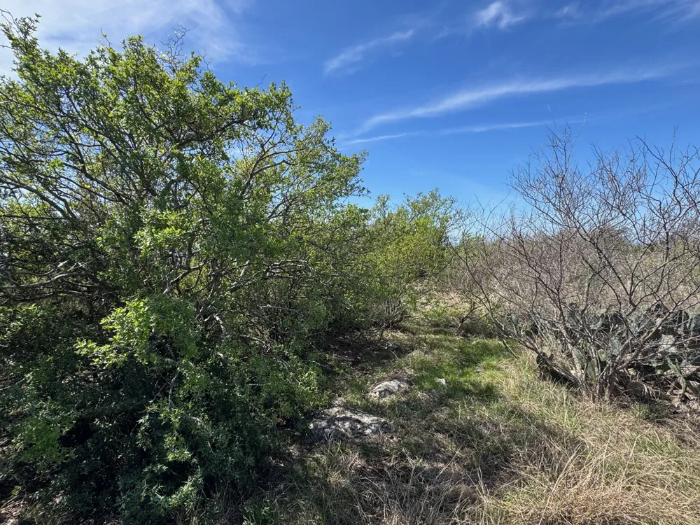 158 Sierra Drive Bertram, TX 78605