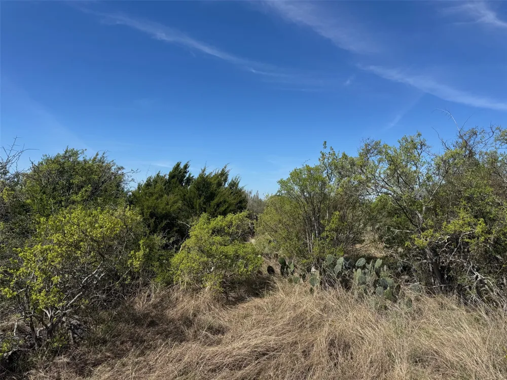 158 Sierra Drive Bertram, TX 78605