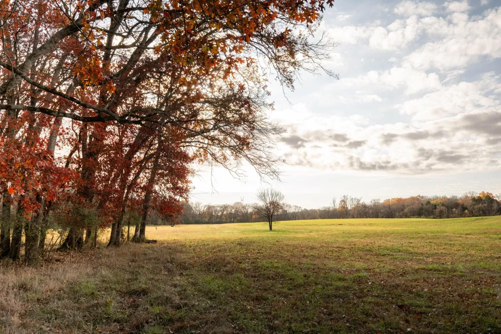 Lee Clarkson Road Chickamauga, GA 30707