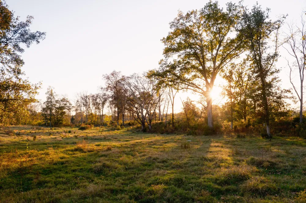 Lee Clarkson Road Chickamauga, GA 30707