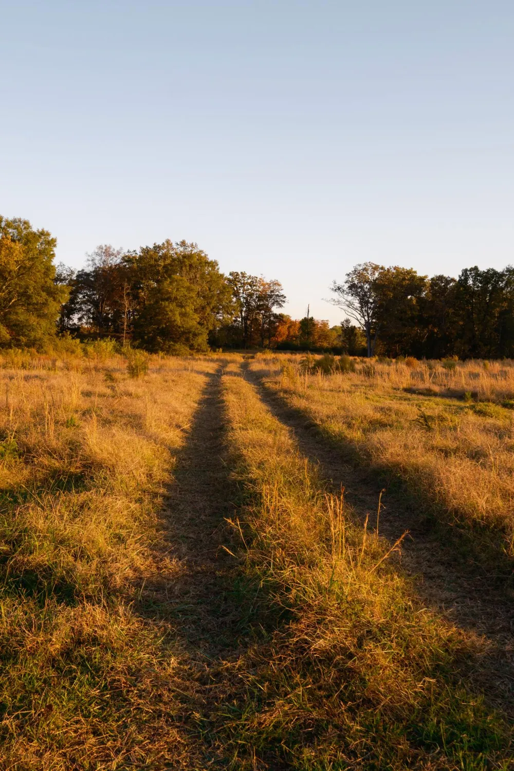 Lee Clarkson Road Chickamauga, GA 30707