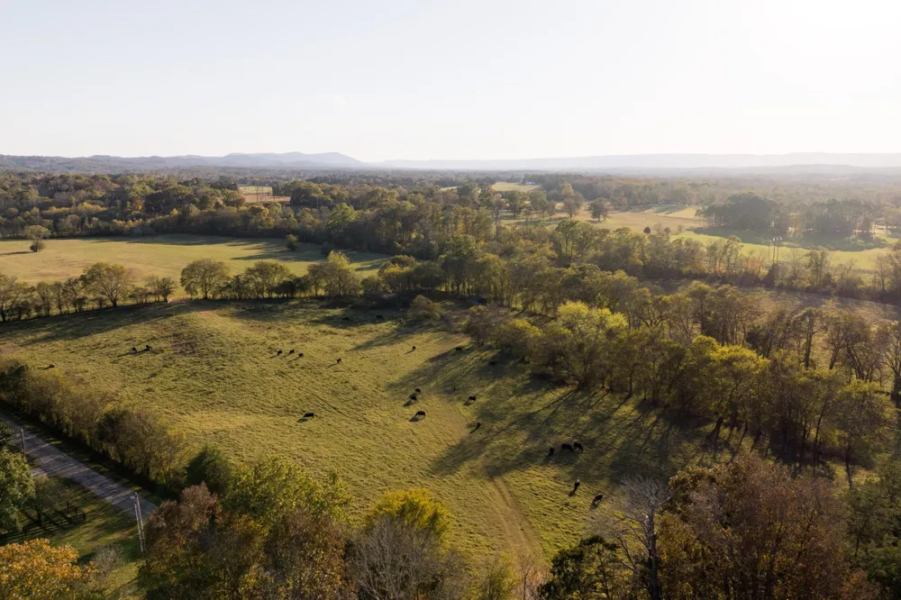 Lee Clarkson Road Chickamauga, GA 30707
