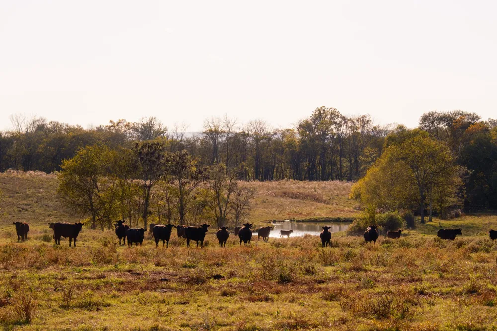 Lee Clarkson Road Chickamauga, GA 30707