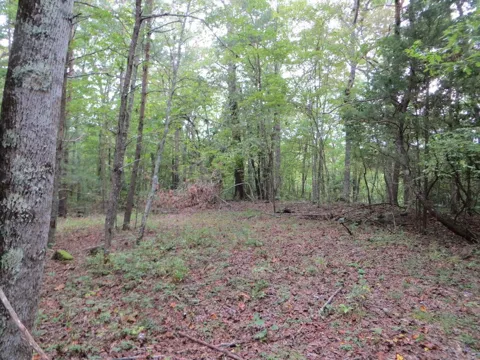377 Sinclair Lane