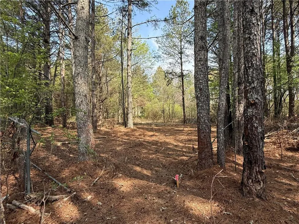 265 W Union Grove Circle Auburn, GA 30011