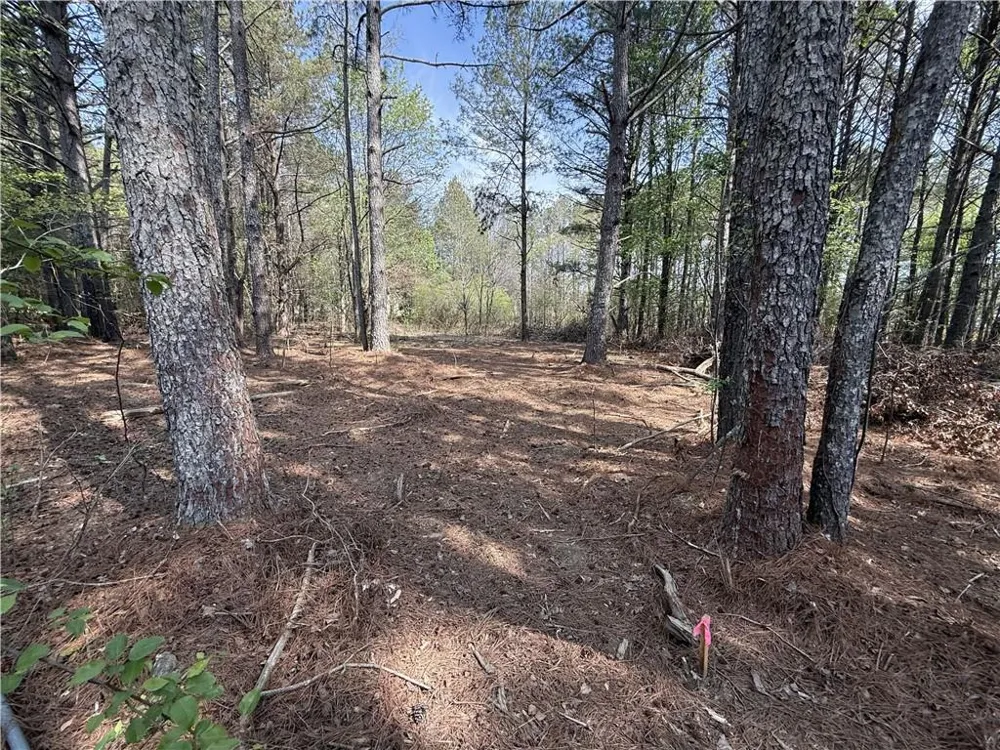 265 W Union Grove Circle Auburn, GA 30011