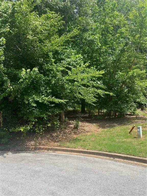 1894 Point River Drive Duluth, GA 30097
