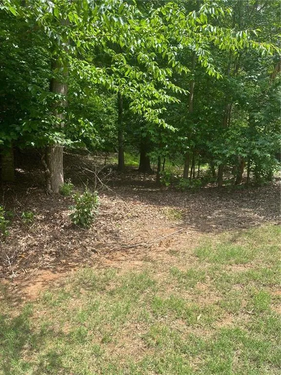1894 Point River Drive Duluth, GA 30097