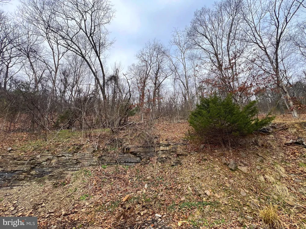 2932 KERNS SCHOOL ROAD Springfield, WV 26763