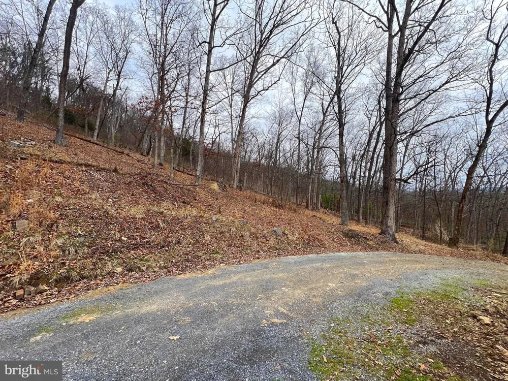 2932 KERNS SCHOOL ROAD Springfield, WV 26763